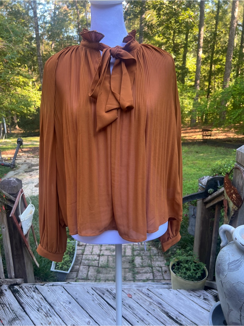 Pleated Sheer Bow Blouse Size S NWT